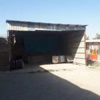 اجاره ورهن  100 متری|اجارهٔ دفتر صنعتی، کشاورزی، تجاری|تهران, یاخجی آباد|دیوار