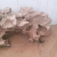 صخره اکواریوم