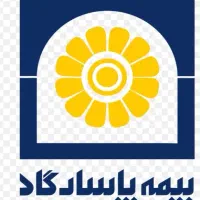 نماینده رسمی بیمه پاسارگاد