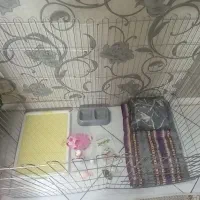 فنس. یاپارک بازی سگ|لوازم جانبی حیوانات|مشهد, ایثار|دیوار