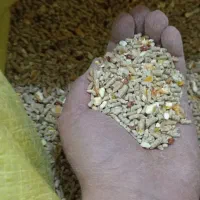 دان|لوازم جانبی حیوانات|تهران, شهید رجایی|دیوار