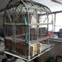 تعدادی قفس جای سهره و قناری|لوازم جانبی حیوانات|بروجرد, |دیوار