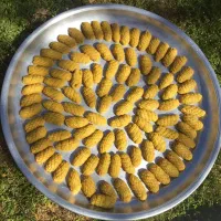 برساق  وهمین برساق