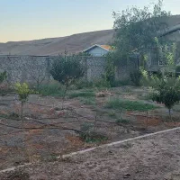 ویلای-نوساز