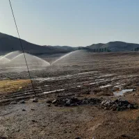 اجاره زمین کشاورزی