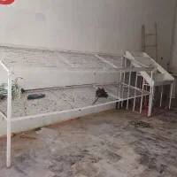 میز میوه فروشی