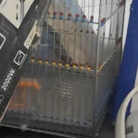 قفس سره|لوازم جانبی حیوانات|اصفهان, سرچشمه|دیوار