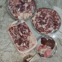 گوسفند زنده شهریار اندیشه و کل کرج باقصاب|حیوانات مزرعه|اندیشه, اندیشه فاز ۱|دیوار