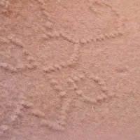 موکت قهوه ای