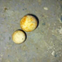 سنگ آسیاب|کلکسیون اشیاء عتیقه|شیروان (لرستان), |دیوار