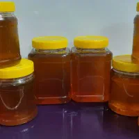 عسل گون کوهی