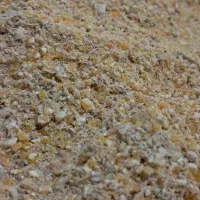 دان بوقلمون