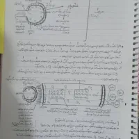 جزوه زیست شناسی، پایه دهم تجربی