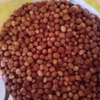 تخمه افتابگردان و سنجد  فروش فوری بصورت عمده|خوردنی و آشامیدنی|ماهنشان, |دیوار