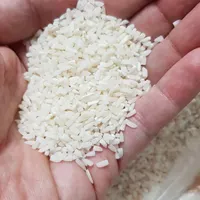 برنج درشت و برنج نیمدانه طارم اعلا و درجه یک|خوردنی و آشامیدنی|رشت, چله خانه|دیوار