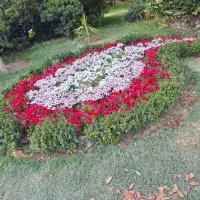 اشیاء پیدا شده