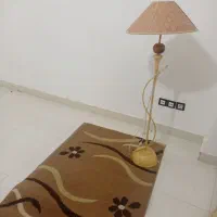 قالیچه واباژور دوتا باهم 500