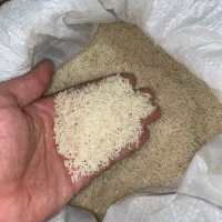 برنج هاشمی درجه ۱ اعلا|خوردنی و آشامیدنی|دالخانی, |دیوار