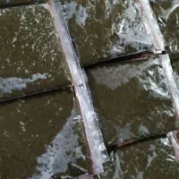 سبزی خورشتی رامهرمز استان خوزستان