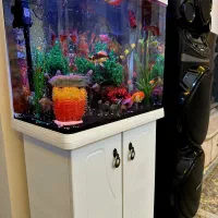 آکواریوم|ماهی|پاکدشت, پاکدشت (مامازند)|دیوار