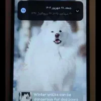 گوشی شیامی c75|موبایل|اشتهارد, |دیوار