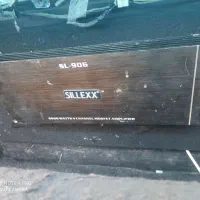 امپلی سیلیکس امریکایی