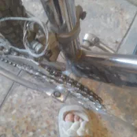 دوچرخه ۲۶|دوچرخه، اسکیت، اسکوتر|شیراز, شهرک مهرگان|دیوار