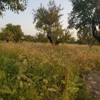 باغ ۱۰۰۰ متری در مهارلو|فروش زمین و ملک کلنگی|شیراز, جانبازان|دیوار