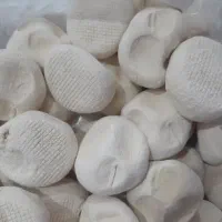سفیداب خونگیِ درمانی