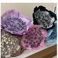 گل روبانی و پروانه ای موجود