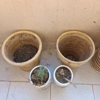 گلدان سفالی|صنایع دستی و سایر لوازم تزئینی|پرند, فاز ۵|دیوار