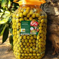 استخدام راننده نیسان پایه دو پخش مواد غذایی