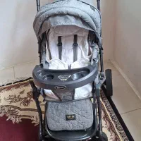 کالسکه دلیجان مدل بنیتا درحد نو