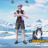 اکانت پابجی موبایل