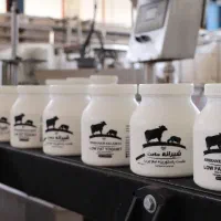 استخدام خانم وآقا کارخانه لبنیات