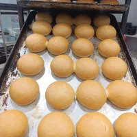 اماده همکاری با افرادی ک پخش نان فانتزی رو دارن