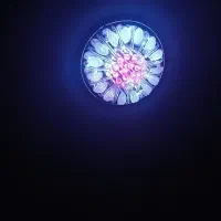 لوستر سقفی کنترلی با دیوارکوب|لوستر و چراغ آویز|تهران, وصفنارد|دیوار