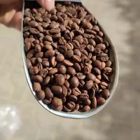 فروش قهوه با مناسب ترین قیمت
