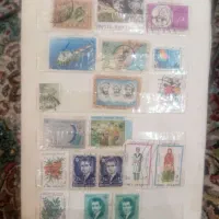 آلبوم تمر و پول اسکناس قدیمی