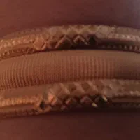 النگو فروش با۳درصد