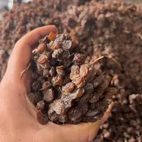 کشمش آفتابی درجه یک|خوردنی و آشامیدنی|ابهر, |دیوار
