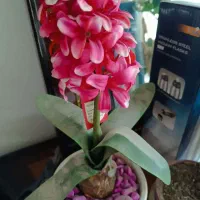 مجسمه و قاب و گلدان و اشیای تزیینی|مجسمه، تندیس، ماکت|تهران, پاسداران|دیوار