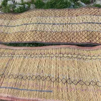 چیت|روفرشی|ایلام, |دیوار