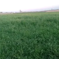 باغ-زمین-6000متری