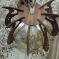 لوستراشپذخونه