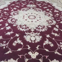 فرش 12 متری|فرش|شیراز, اصلاح‌نژاد|دیوار