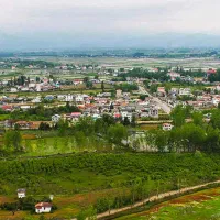 جذب سئو کار حرفه ای
