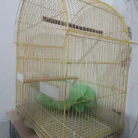 کوتوله سه عدد قفس عروس هلندی قناری مرغ عشق|پرنده|اصفهان, گرکان|دیوار