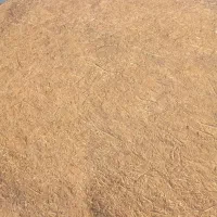 کاه علوفه ای