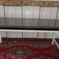 لوازم آرایشگاه|آرایشگاه و سالن‌های زیبایی|خرم‌آباد, |دیوار